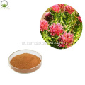 Rosavins Salidroside de alta qualidade Rhodiola Rosea Extract 98%